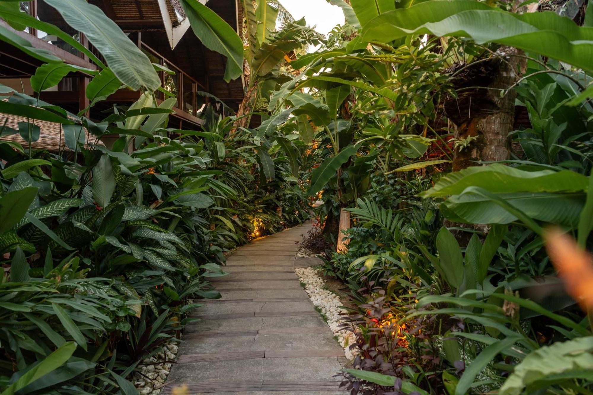 The Hillside Resort Siargao General Luna  Extérieur photo