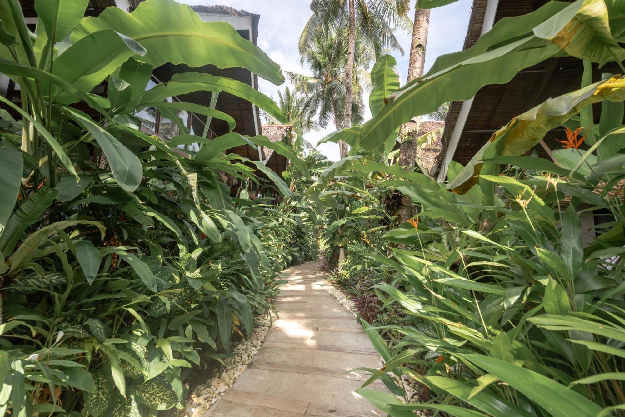 The Hillside Resort Siargao General Luna  Extérieur photo